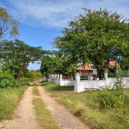 Gites Du Domaine De La Canne A Sucre Anse-Bertrand 외부 사진
